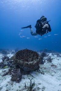 Open water diver course | Become an open water diver in playa del carmen